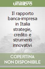 Il rapporto banca-impresa in Italia strategie, credito e strumenti innovativi