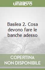 Basilea 2. Cosa devono fare le banche adesso libro