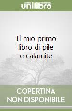 Il mio primo libro di pile e calamite libro