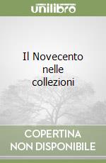 Il Novecento nelle collezioni