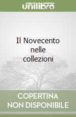 Il Novecento nelle collezioni libro