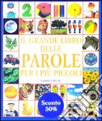 Il grande libro delle parole per i più piccoli libro