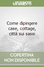 Come dipingere case, cottage, città sui sassi libro