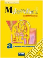 Matematico! Volume A-B. Con portfolio. Per il biennio libro