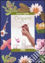 Corso rapido. Origami libro