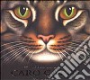 Caro gatto libro