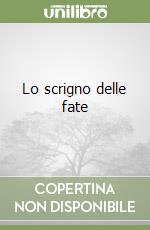 Lo scrigno delle fate libro