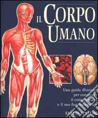 Il corpo umano