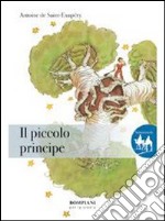 Il piccolo principe libro