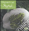 Dipingere sui sassi. Ediz. illustrata libro