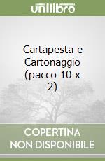 Cartapesta e Cartonaggio (pacco 10 x 2) libro