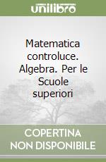 Matematica controluce. Algebra. Per le Scuole superiori (2) libro