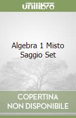 Algebra 1 Misto Saggio Set libro