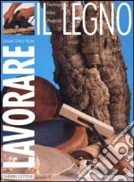 Lavorare il legno libro