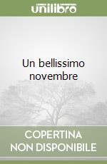 Un bellissimo novembre libro