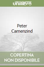 Peter Camenzind libro