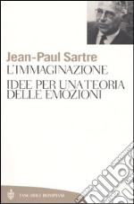 L'immaginazione. Idee per una teoria delle emozioni libro