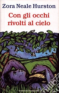 Con gli occhi rivolti al cielo libro