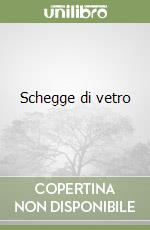 Schegge di vetro libro