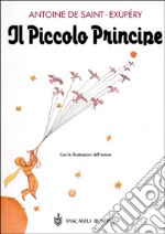 IL PICCOLO PRINCIPE 