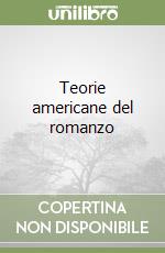 Teorie americane del romanzo libro