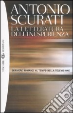 La letteratura dell'inesperienza. Scrivere romanzi al tempo della televisione libro