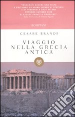 Viaggio nella Grecia antica libro