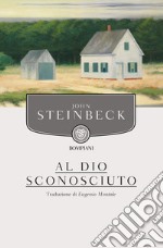 Al Dio sconosciuto libro