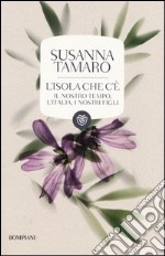 L'isola che c'è. Il nostro tempo, l'Italia, i nostri figli libro usato