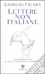 Lettere non italiane. Considerazioni su una letteratura interrotta libro