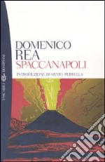 Spaccanapoli libro