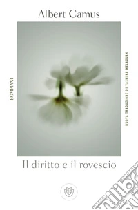 Il diritto e il rovescio