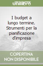 I budget a lungo termine. Strumenti per la pianificazione d'impresa libro