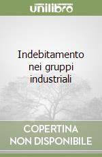 Indebitamento nei gruppi industriali libro