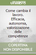 Come cambia il lavoro. Efficacia, autonomia, valorizzazione delle competenze libro