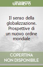 Il senso della globalizzazione. Prospettive di un nuovo ordine mondiale libro