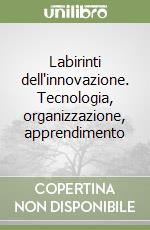 Labirinti dell'innovazione. Tecnologia, organizzazione, apprendimento libro