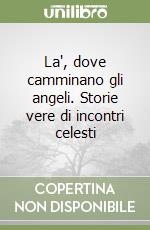 La', dove camminano gli angeli. Storie vere di incontri celesti