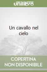 Un cavallo nel cielo libro