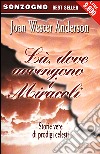 Là dove avvengono i miracoli libro di Anderson Joan W.