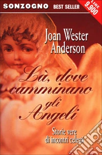Là, dove camminano gli Angeli libro
