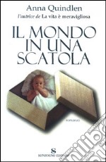 Il mondo in una scatola libro