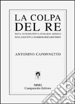 La colpa del re libro