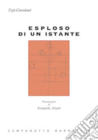 Esploso di un istante libro