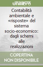 Contabilità ambientale e «risposte» del sistema socio-economico: dagli schemi alle realizzazioni