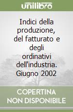 Indici della produzione, del fatturato e degli ordinativi dell'industria. Giugno 2002 libro