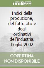 Indici della produzione, del fatturato e degli ordinativi dell'industria. Luglio 2002 libro