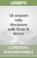 Gli stranieri nella rilevazione sulle forze di lavoro libro