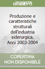 Produzione e caratteristiche strutturali dell'industria siderurgica. Anni 2003-2004 libro