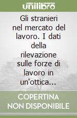 Gli stranieri nel mercato del lavoro. I dati della rilevazione sulle forze di lavoro in un'ottica individuale e familiare libro